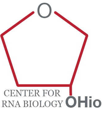 CRB Unofficial Logo