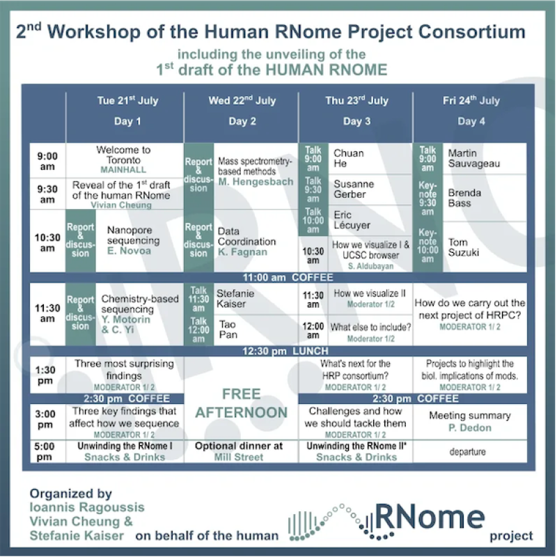 Unveiling the first draft of the human RNome sequence