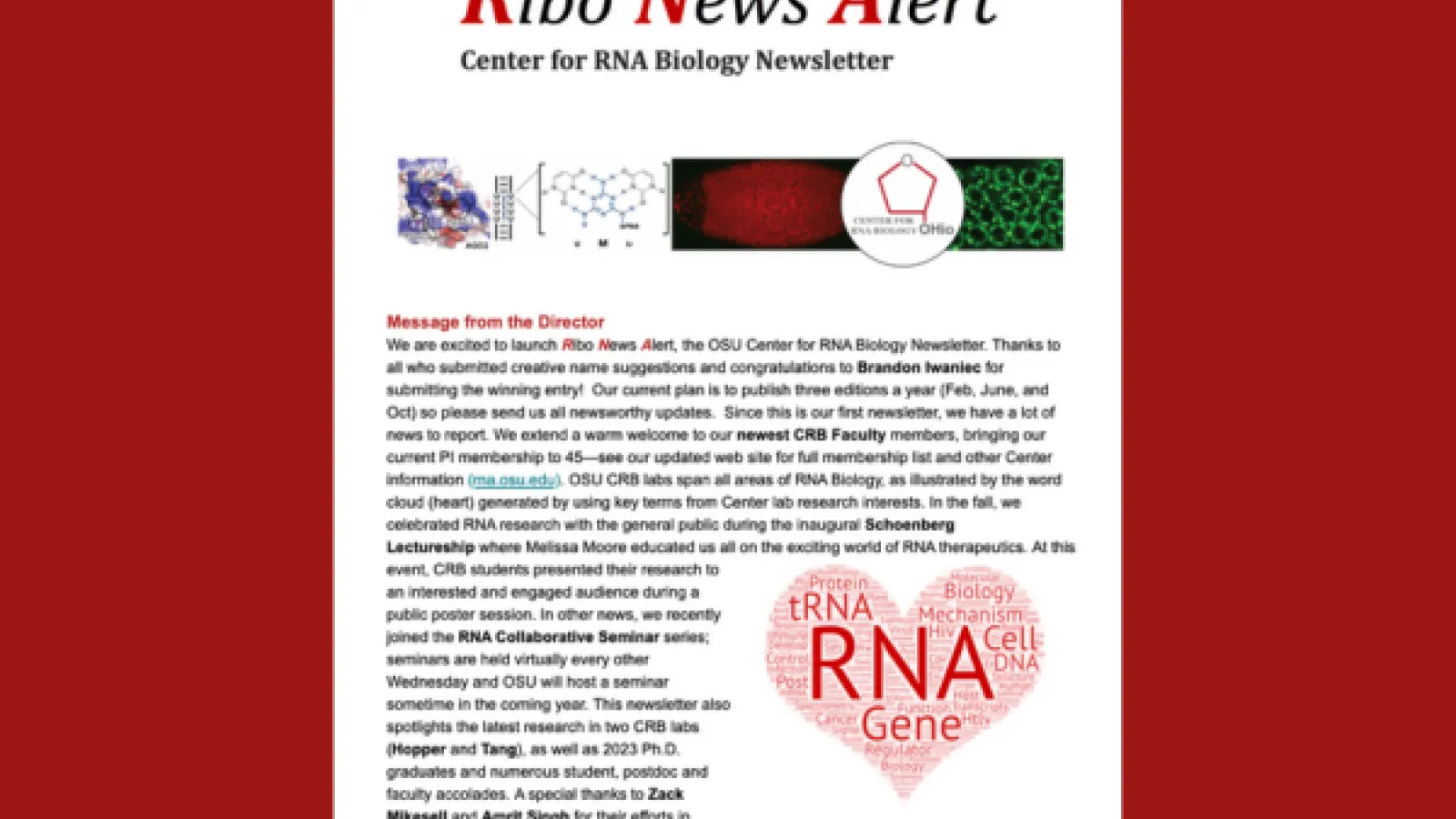 Newsletter