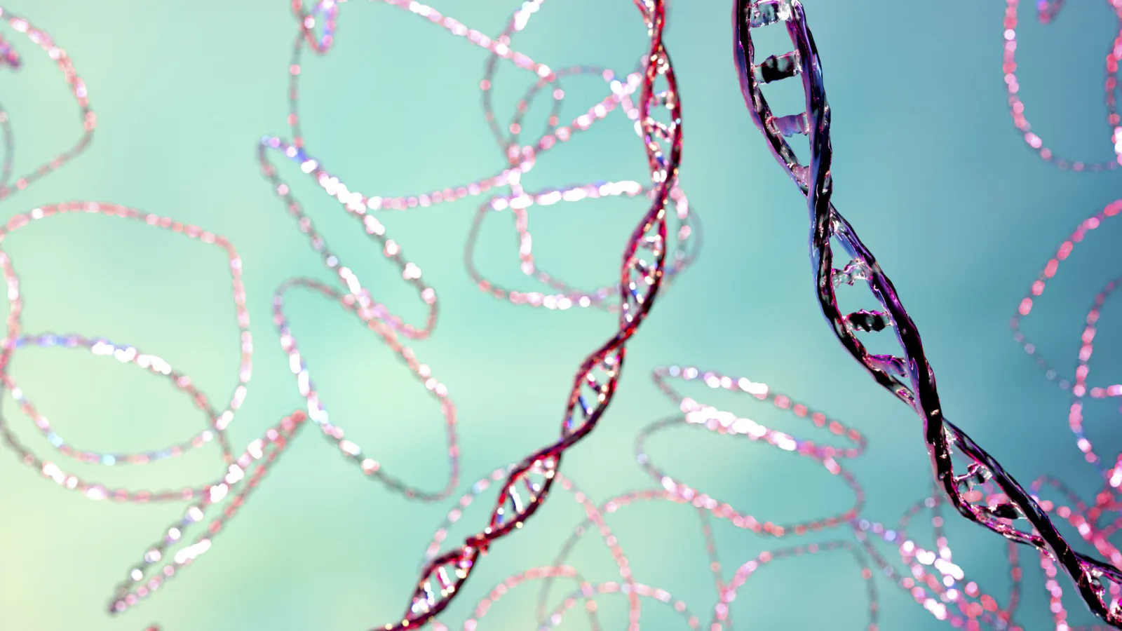 plasmid-illustration