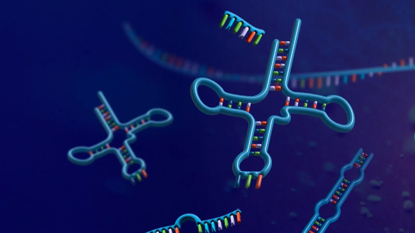 Transfer RNAs