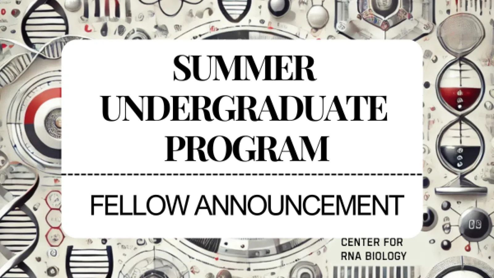2025 Undergraduate Summer Research Fellowships