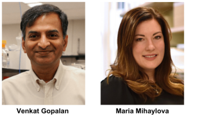 Invited Internal Speakers