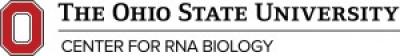 OSU-CRB-HorizK-RGBHEX-300x42.jpg
