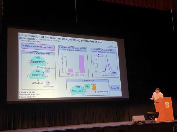 2024 C. elegans Meeting March 6-10  – Washington, DC 