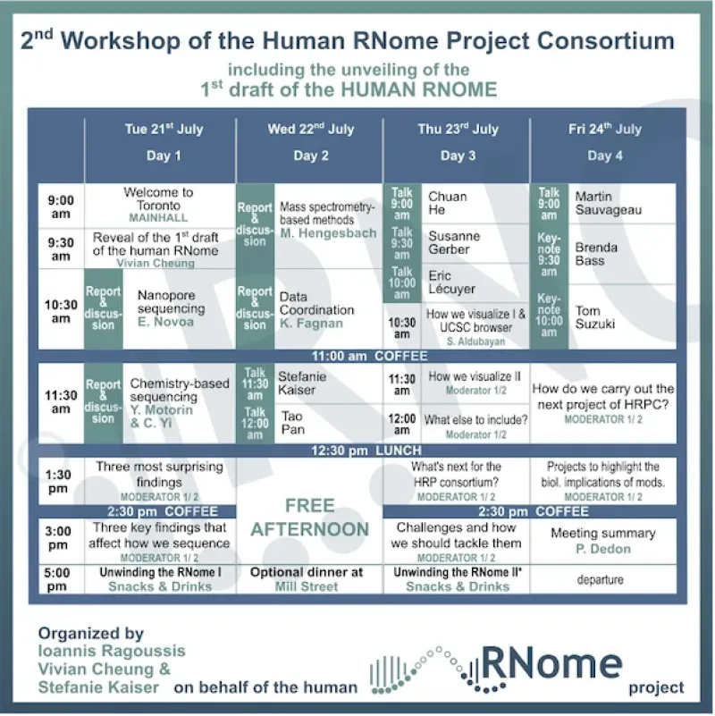 Unveiling the first draft of the human RNome sequence