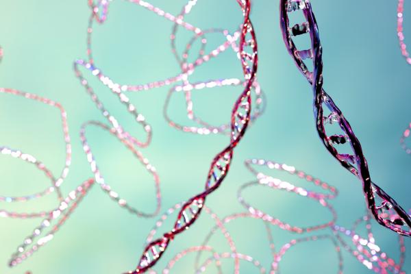 plasmid-illustration